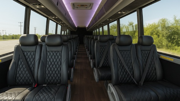 lakeville 28 passenger minibus rental