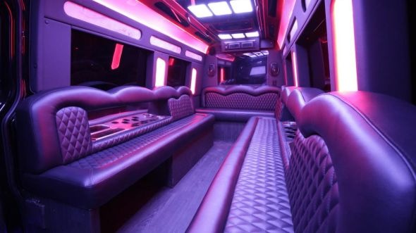 lakeville sprinter limo rental inside